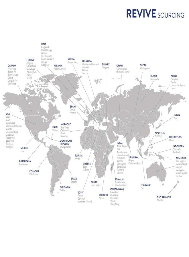 زيت البرتقال البري العطري من ريفايف للزيوت العطرية - نقي 100%، درجة علاجية، للاستخدام في أجهزة التبخير، وأجهزة الترطيب، والتدليك، والعلاج العطري، والعناية بالبشرة والشعر - Image 4